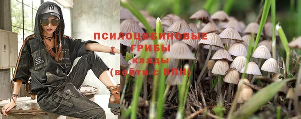 марки nbome Алзамай