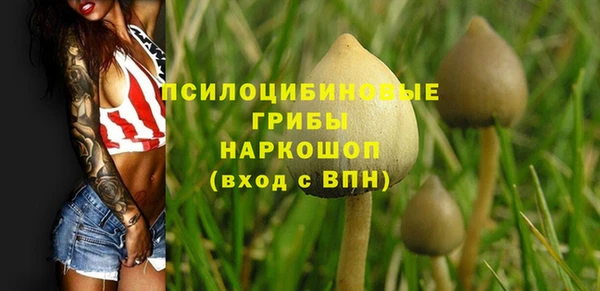 мескалин Алексин