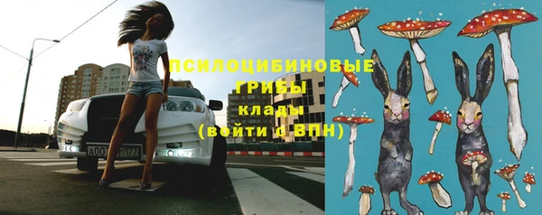мескалин Алексин